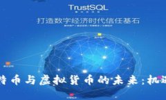 中国比特币与虚拟货币的