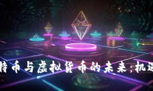 中国比特币与虚拟货币的未来：机遇与挑战