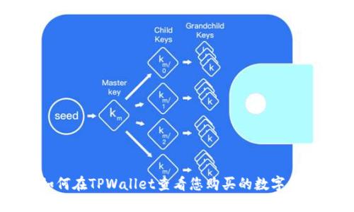 如何在TPWallet查看您购买的数字货币