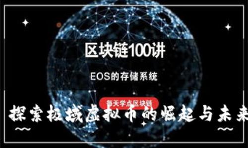  探索极域虚拟币的崛起与未来