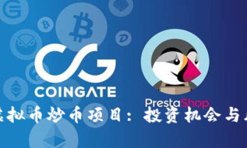 : 探索虚拟币炒币项目: 投资机会与风险分析