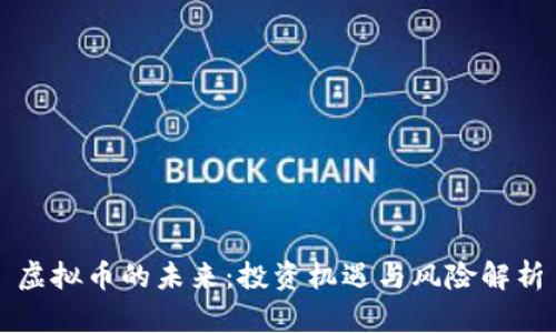 虚拟币的未来：投资机遇与风险解析