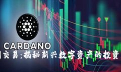 虚拟币中间交易：揭秘新兴数字资产的投资机遇