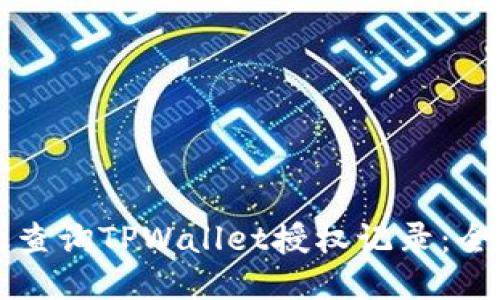 如何高效查询TPWallet授权记录：全方位指南