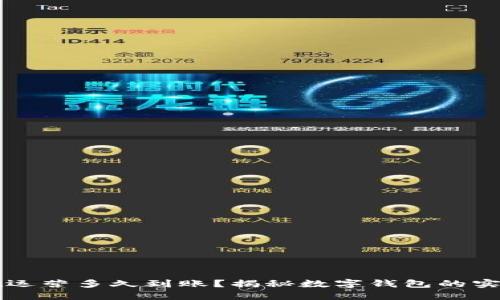 : TPWallet运营多久到账？揭秘数字钱包的实时交易流程