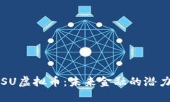 揭秘BISU虚拟币：未来金融