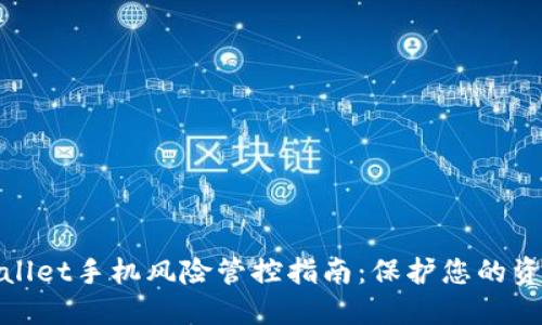 : TPWallet手机风险管控指南：保护您的资产安全