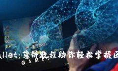 全面解锁TPWallet：薄饼教程