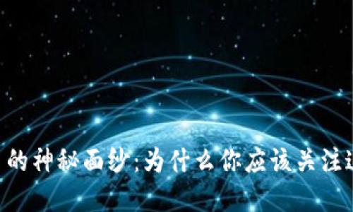  揭开TSTD虚拟币的神秘面纱：为什么你应该关注这项新兴数字资产
