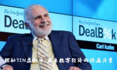 探秘TIN虚拟币：未来数字