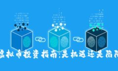  虚拟币投资指南：是机遇