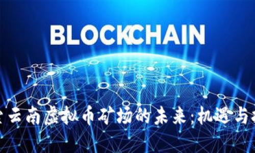 探索云南虚拟币矿场的未来：机遇与挑战