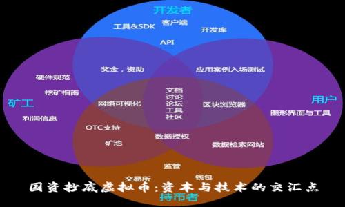 国资抄底虚拟币：资本与技术的交汇点